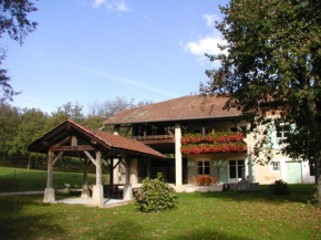 Вине